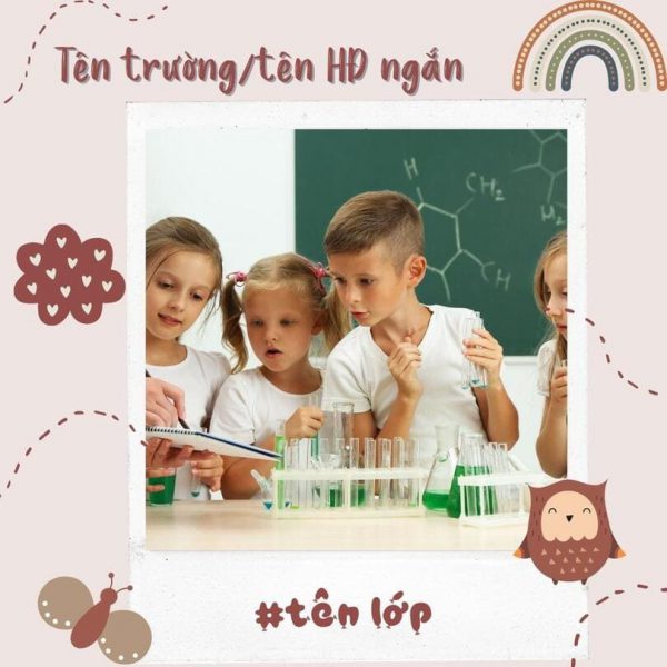 Bài đăng hàng ngày ảnh vuông 1:1 - M0006